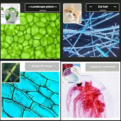 Microscopio para niños + Despierta al Científico que tu Hijo Lleva Dentro